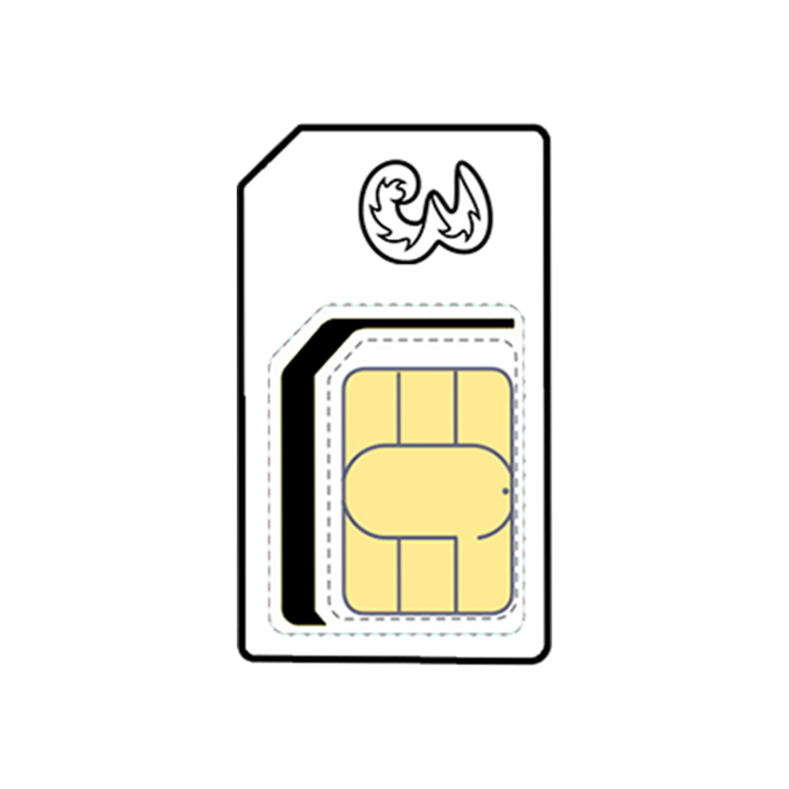 Sim Only (24 Month Contract)